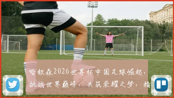 哈钦森2026世界杯中国足球崛起，挑战世界巅峰，共筑荣耀之梦，精彩不容错过