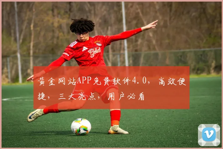 黄金网站APP免费软件4.0，高效便捷，三大亮点，用户必看