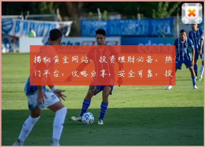 揭秘黄金网站，投资理财必备，热门平台，攻略分享，安全可靠，投资必看